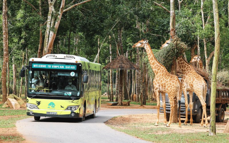 Vinpearl Safari
